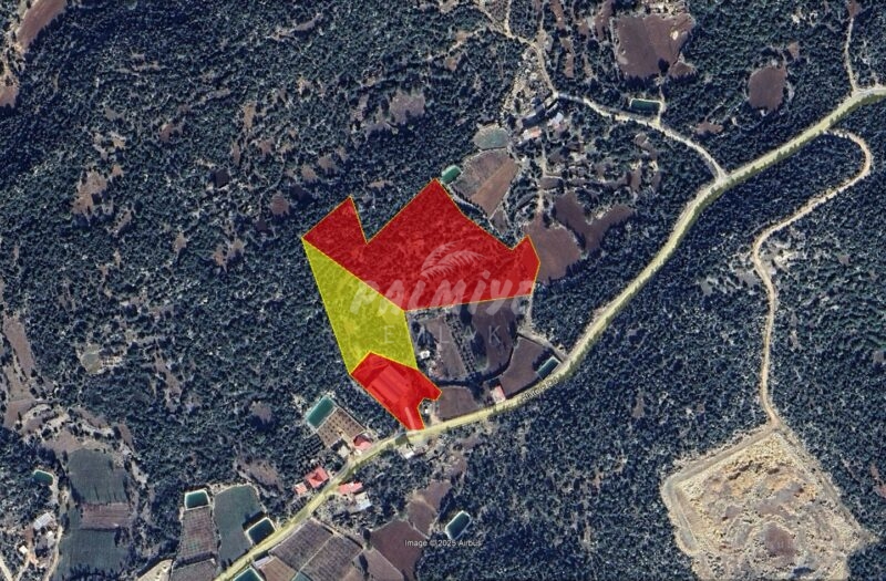 goruntu
