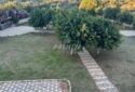 Mersin Ayaş’ta Deniz Manzaralı Eşyalı 2+1 Daire